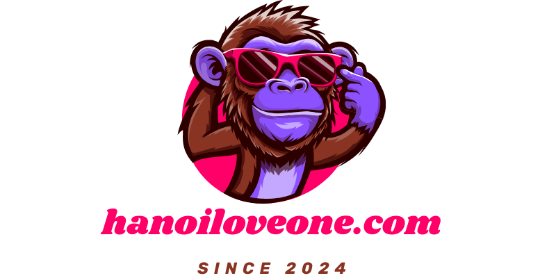 hanoiloveone.com